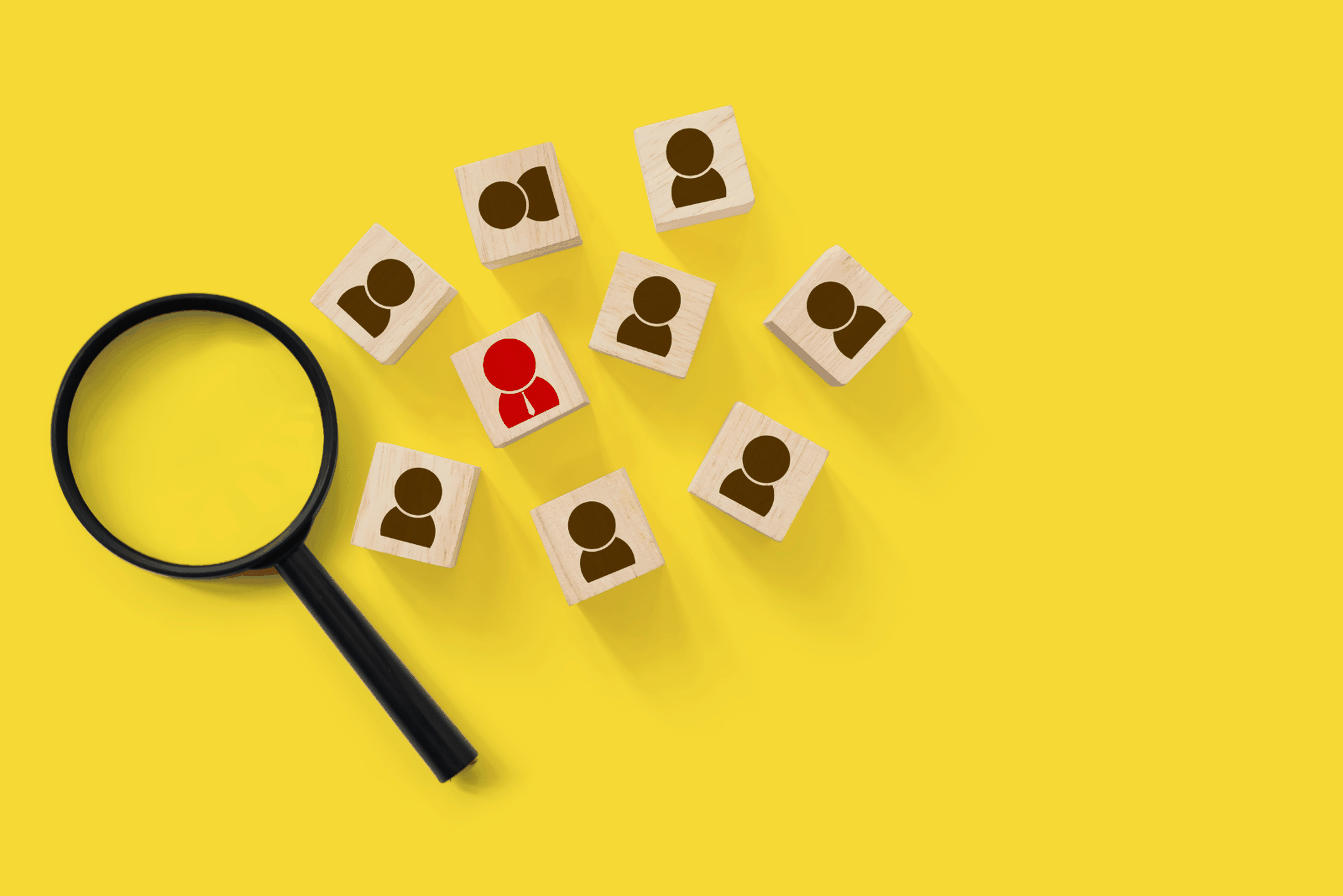 Can You Look Up an EIN? What’s Public vs. Private Information