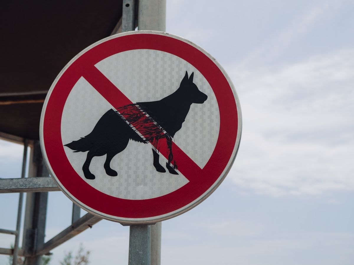 Is It Illegal to Let Your Dog Poop in Someone's Yard?