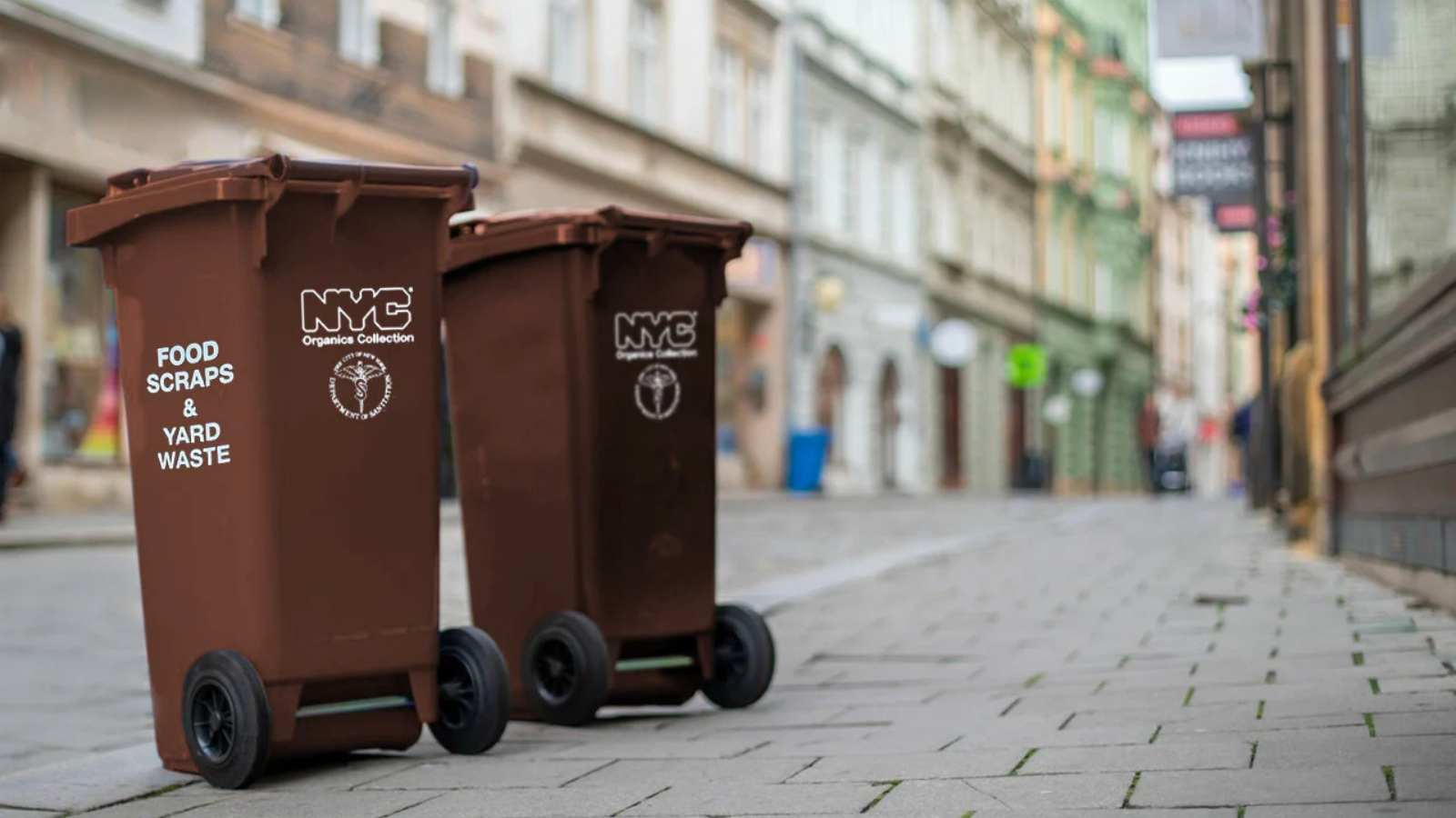 NYC Curbside Composting Program  How to Get Started & Benefits