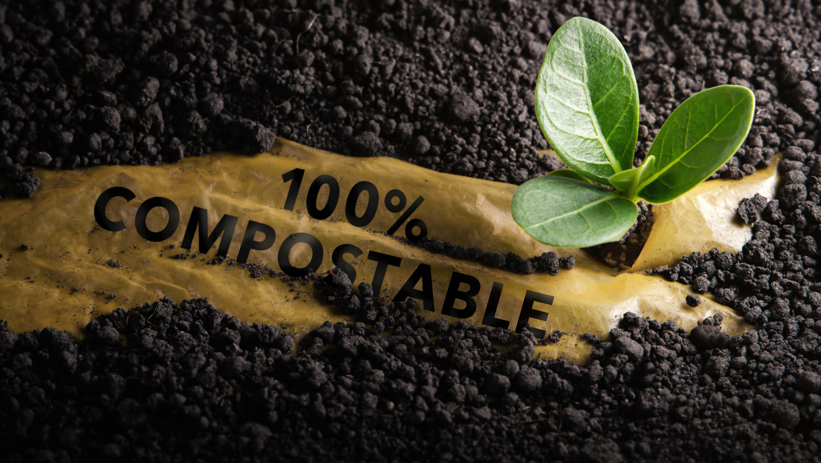 Green Paper Products _ Certified Compostable | 100% Compostable