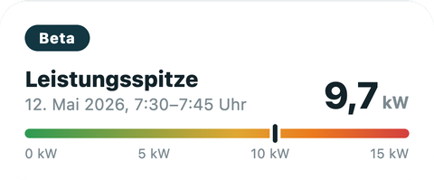 Grafik Leistungsspitze enox.coach