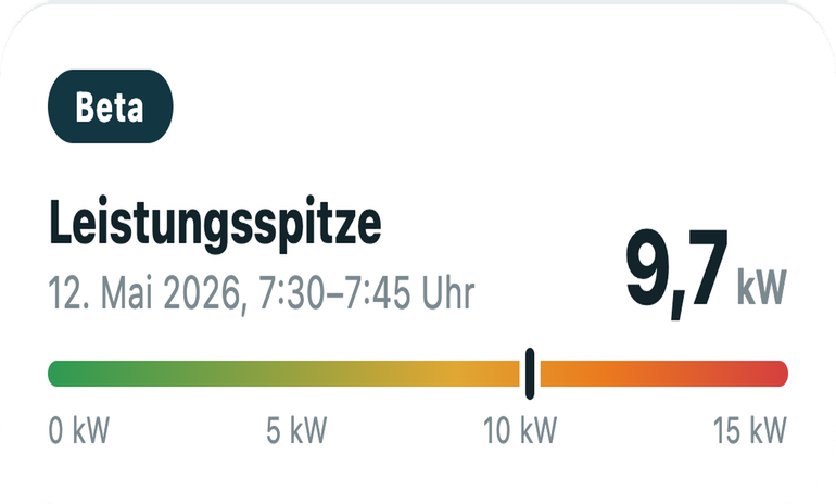 Grafik Leistungsspitze enox.coach