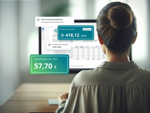 EG Manager vor Bildschirm