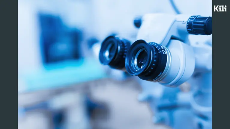 Understanding Computer Vision And Its Applications