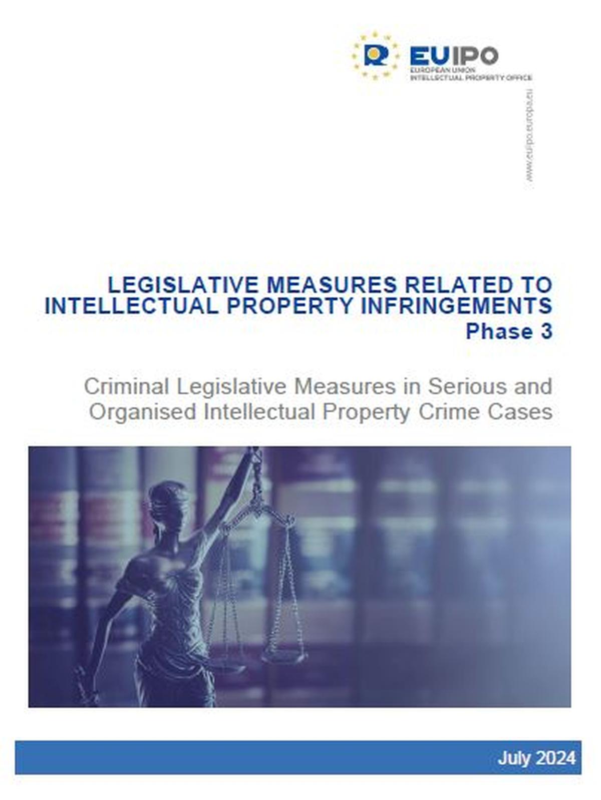 Legislative measures related to intellectual property infringements ...