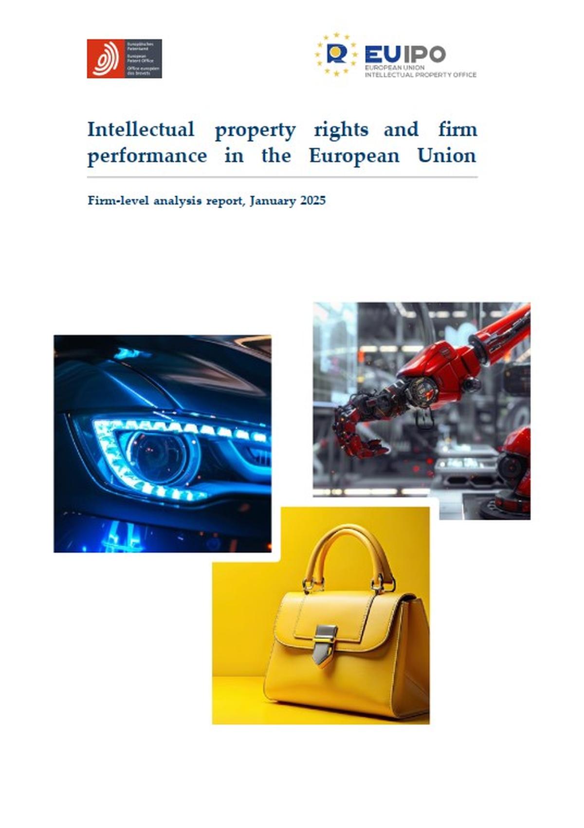 Intellectual property rights and firm performance in the European Union ...