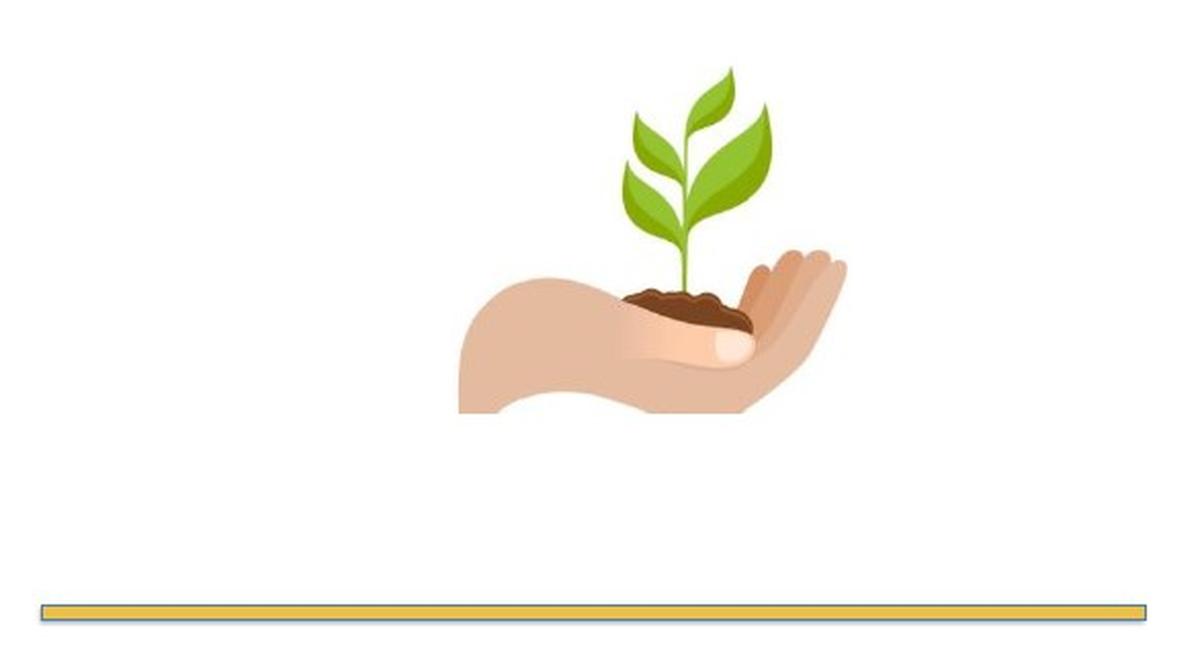 Impact of the Community Plant Variety Rights system on the EU economy ...