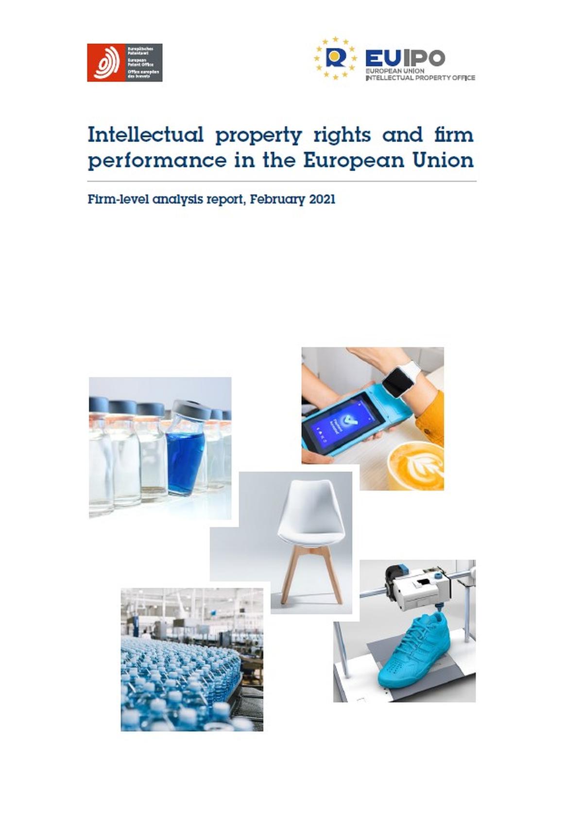 Intellectual property rights and firm performance in the European Union ...