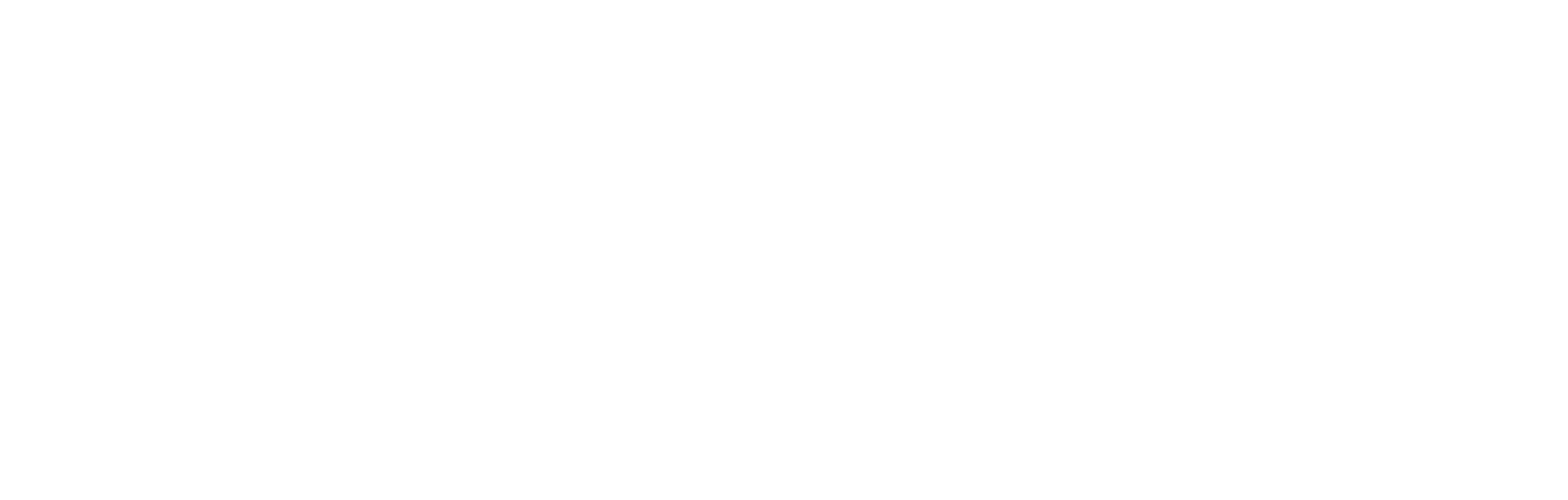 talon.one logo white