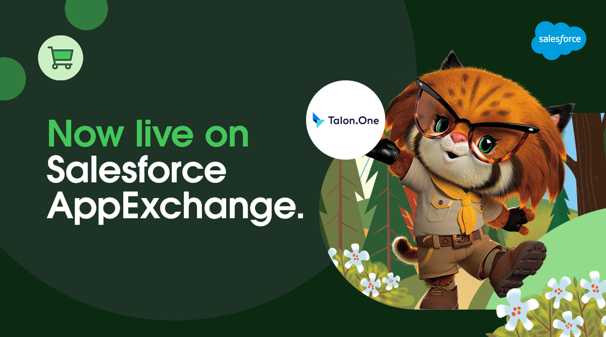 Salesforce Commerce Cloud 
