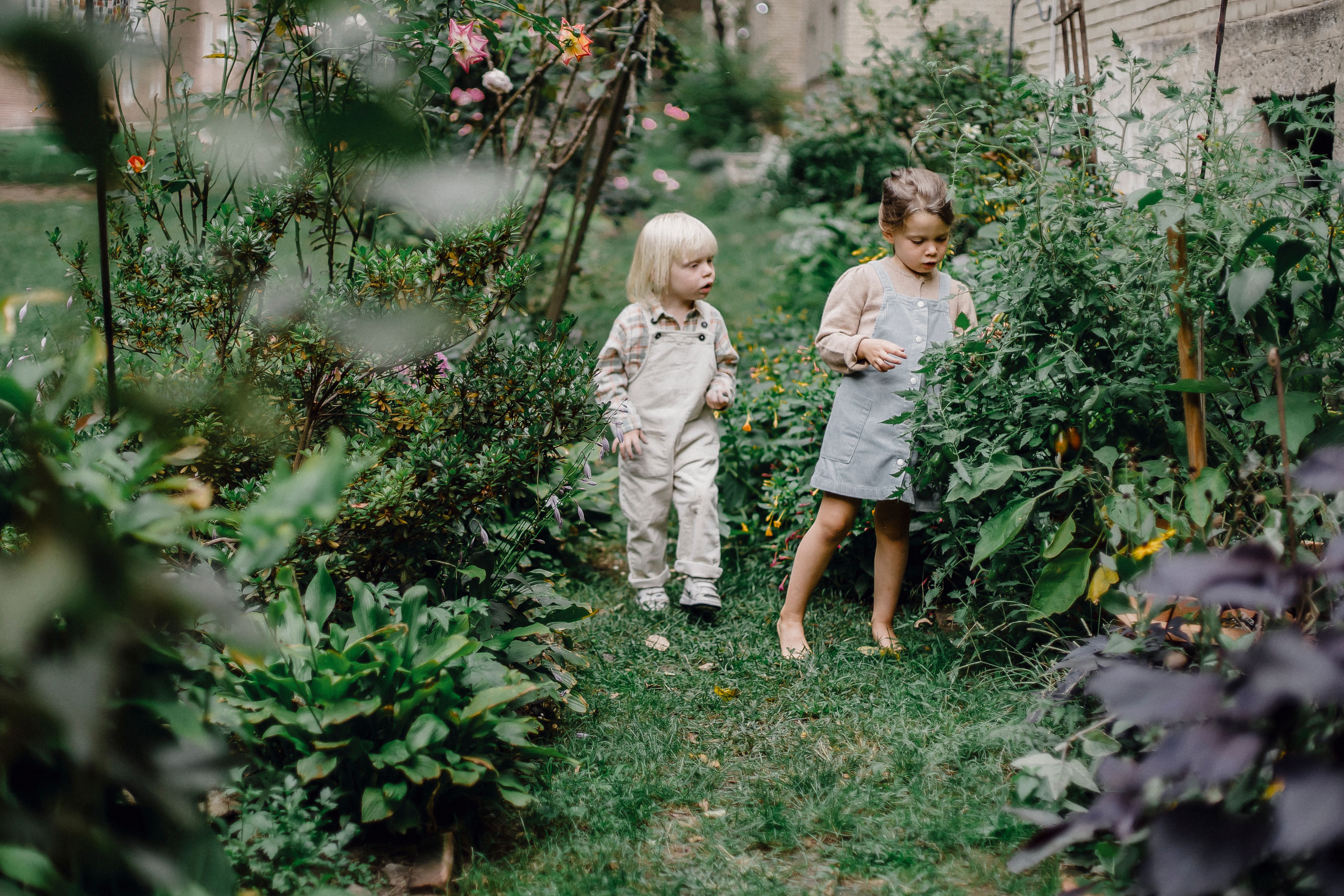 Twee kinderen spelen in de tuin en plukken blaadjes van een plant