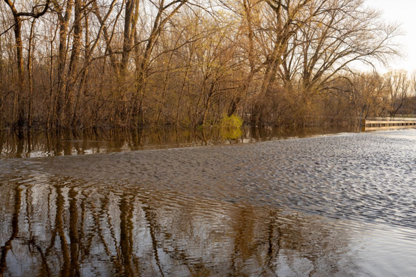 Bergingsgebied voor water in een bos