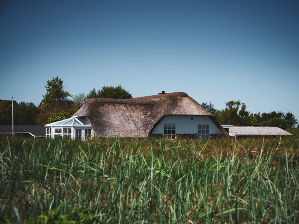 Een cottage met een rieten dak, omringd door hoog gras en bomen onder een helderblauwe lucht.