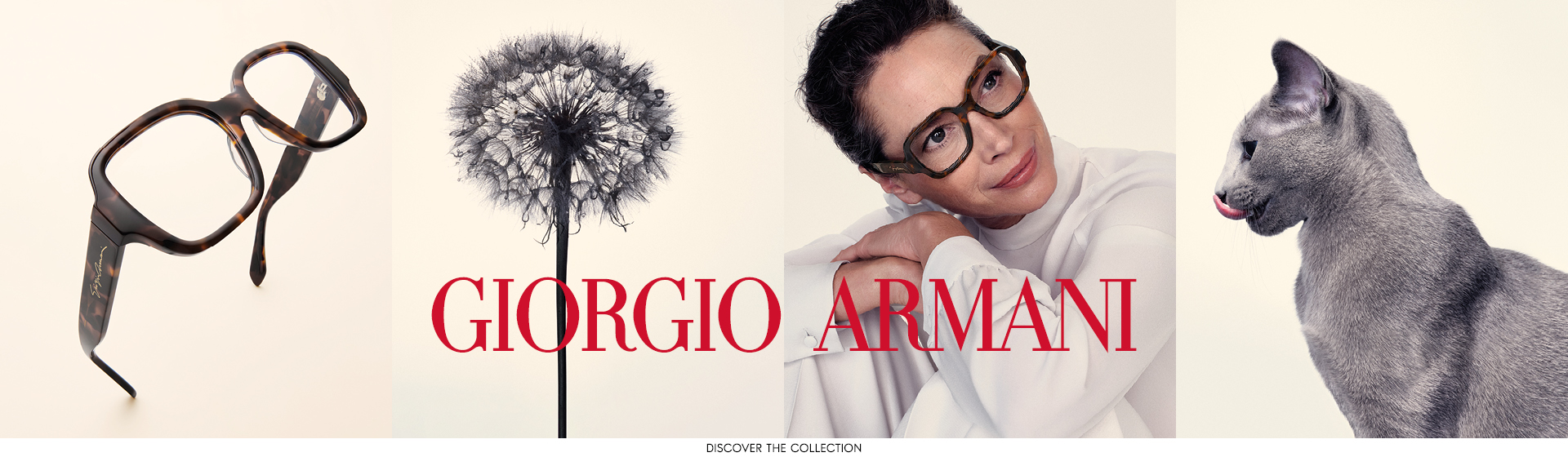 Des lunettes, un pissenlit, une personne portant des lunettes et un chat à côté du logo Giorgio Armani.