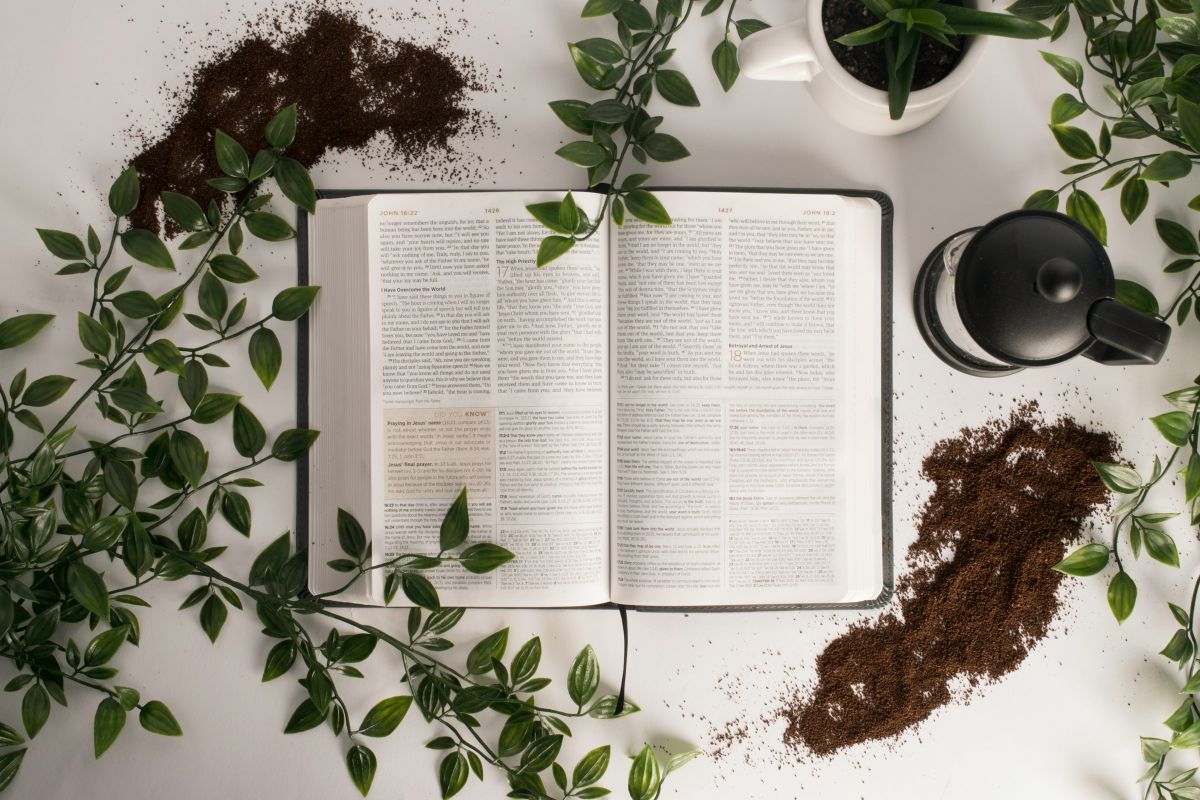 e-book livre papier