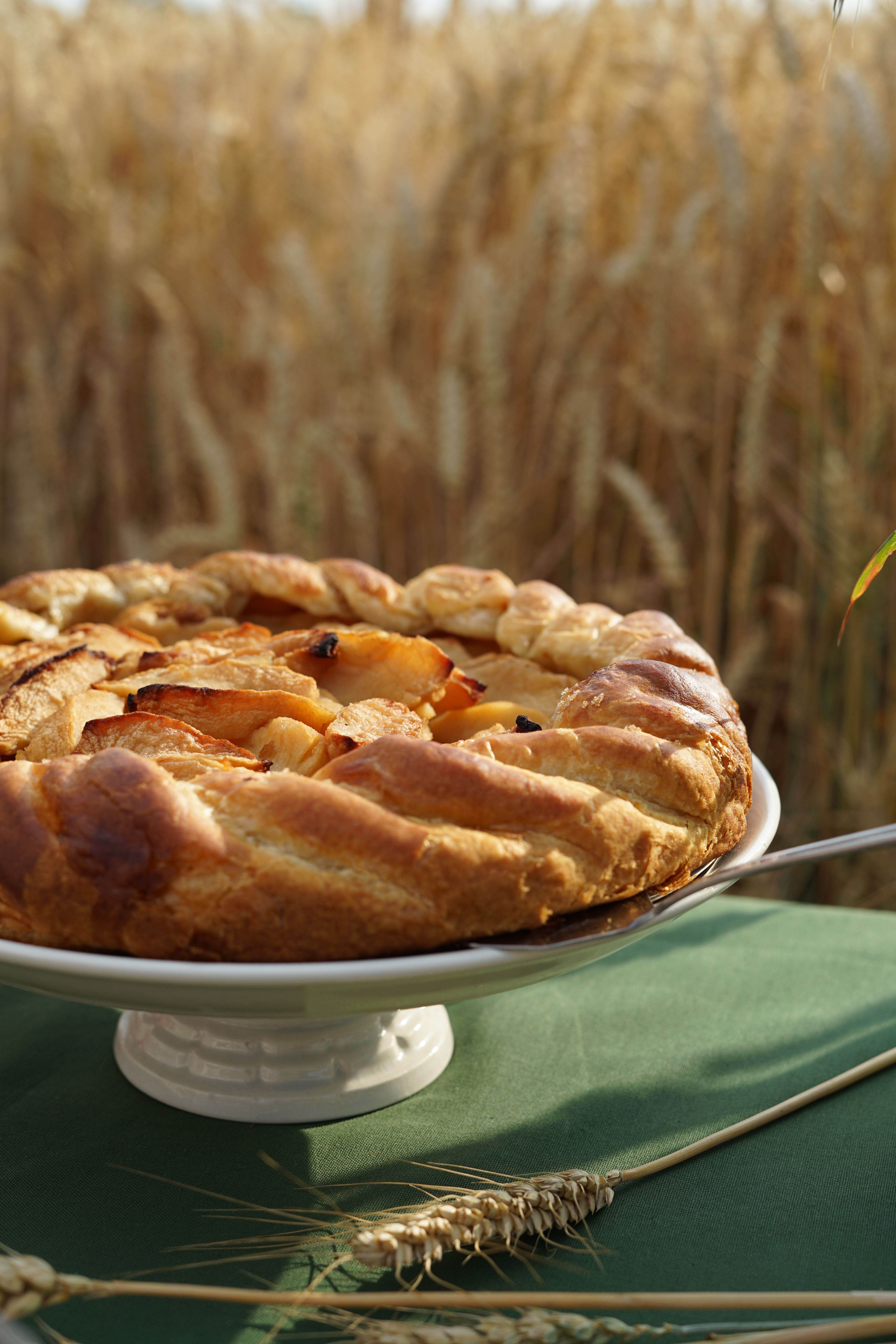 158 - ÉTÉ-TARTE AUX POMMES.JPG