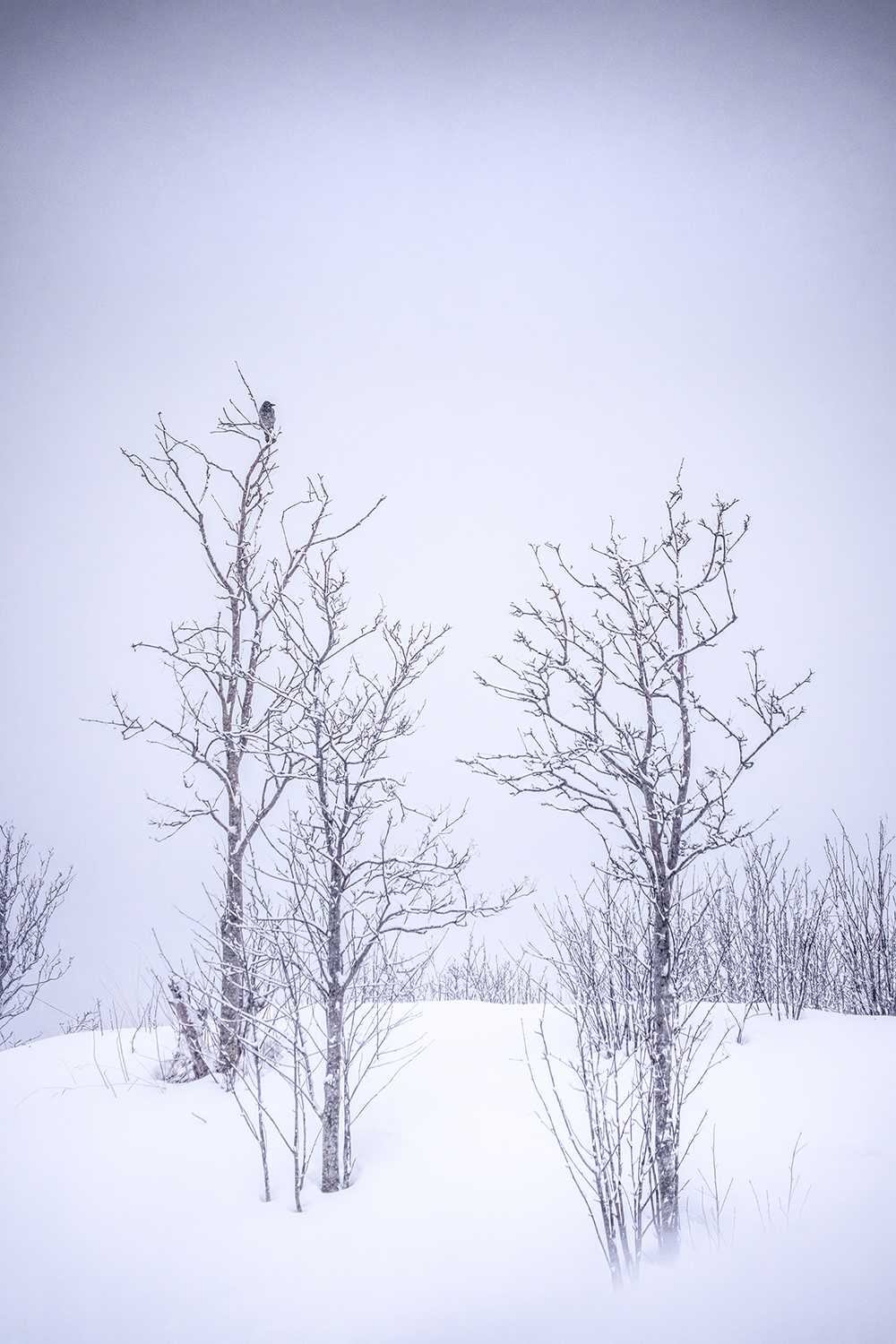 6. Conditions polaires