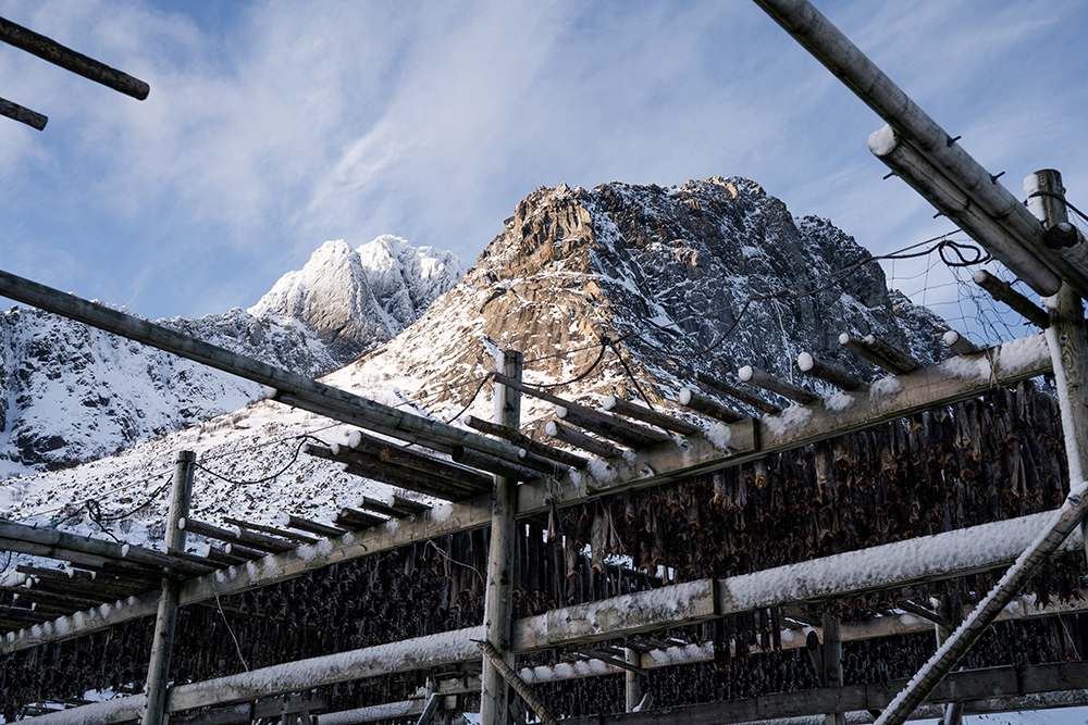 2. Un zoom étonnamment compact