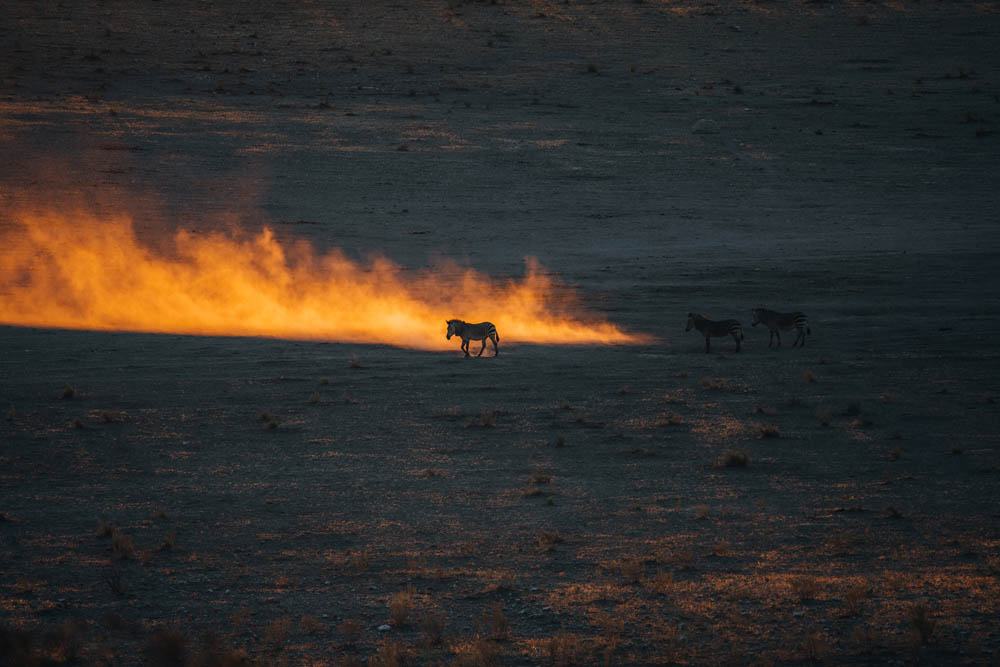 Warum Namibia ein Paradies für Fotofans ist