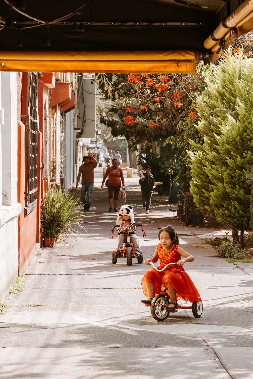 The “Real” Mexico: An Afternoon in Coyoacán