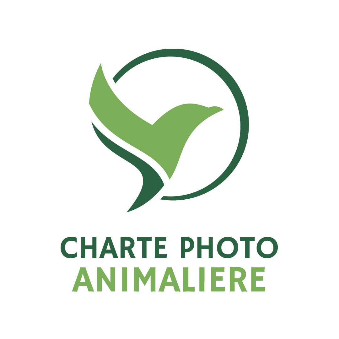 Quelles sont les plus grandes leçons que vous avez apprises en photographiant la faune sauvage ?