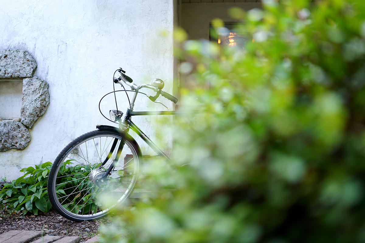 Ein Fahrrad lehnt an einer weißen Wand und wird im Vordergrund teilweise von grünem Laub verdeckt, wodurch eine ruhige Szene im Freien entsteht.