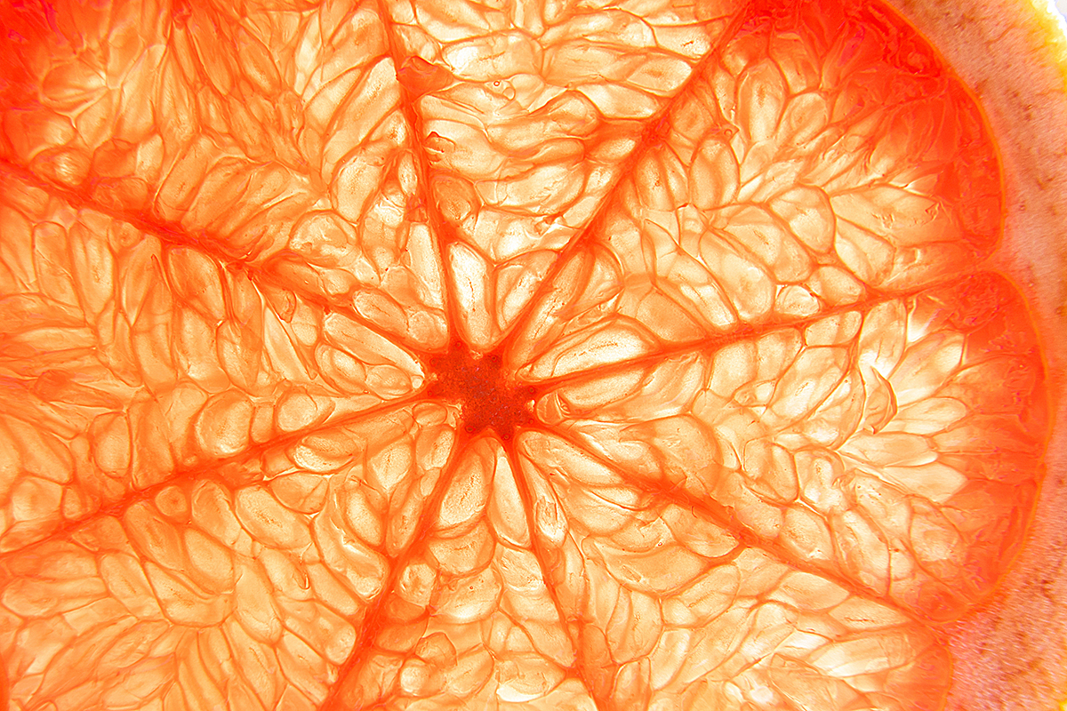 Nahaufnahme einer aufgeschnittenen Grapefruit, die ihre durchscheinenden, saftigen Segmente und ihre faserige Struktur in leuchtenden Orange- und Rosatönen zeigt.