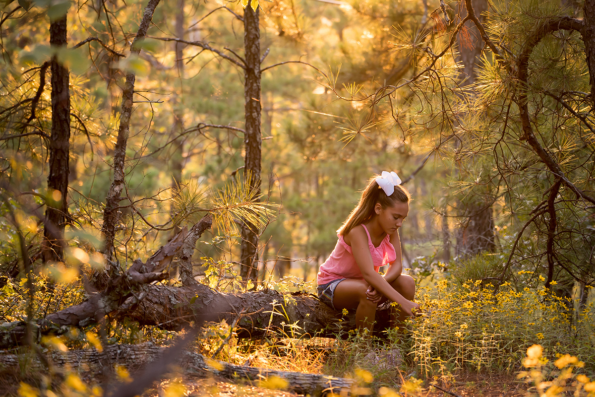 Ein Mädchen mit einer weißen Schleife sitzt in einem sonnendurchfluteten Wald inmitten gelber Blumen, umgeben von Bäumen und heruntergefallenen Ästen.