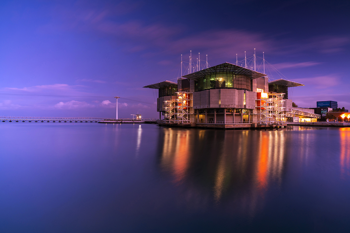 Using Light and Time of Day Effectively