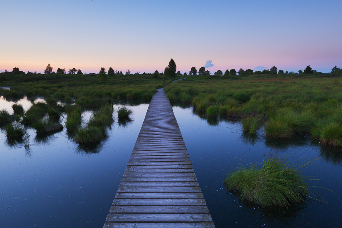 Ein Holzsteg über einem ruhigen, grasbewachsenen Sumpf bei Sonnenuntergang, mit pastellfarbenem Himmel und Bäumen in der Ferne, die sich im Wasser spiegeln.
