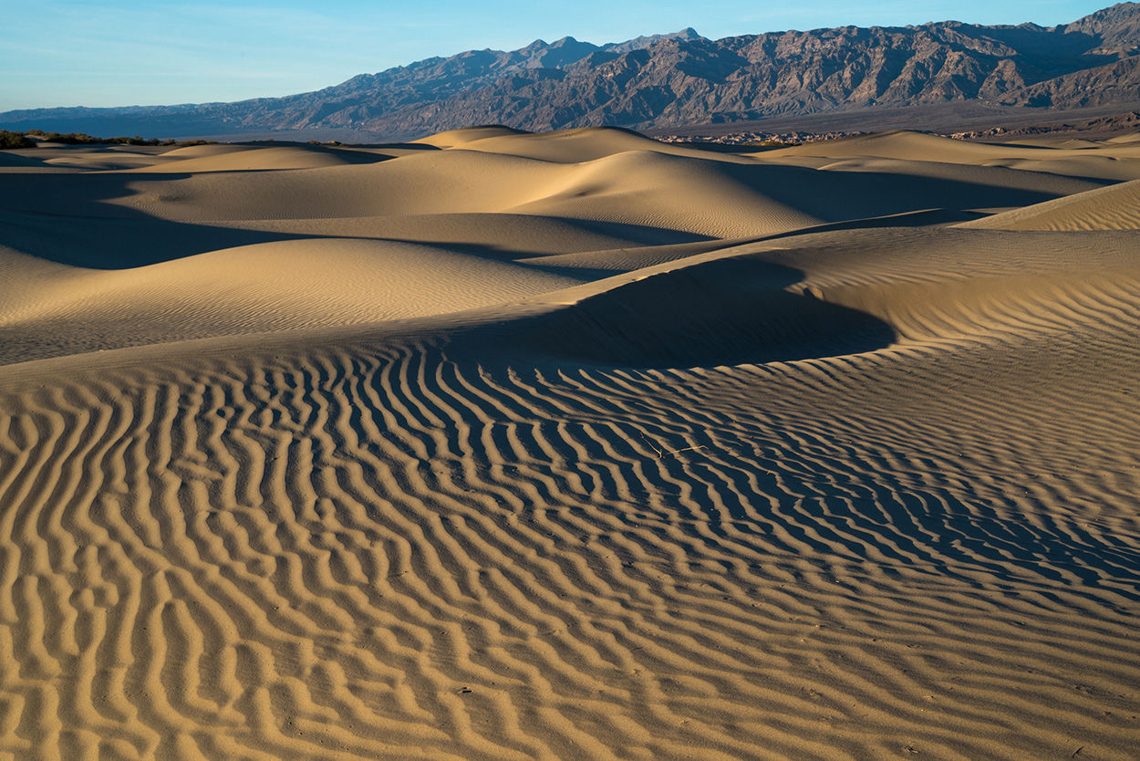 Rippling sand dunes under clear blue sky with mountains in the background, casting shadows on the textured desert surface.