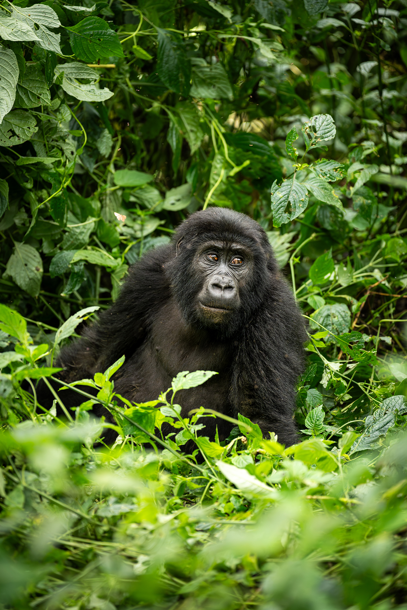 Une photographie sans interruption