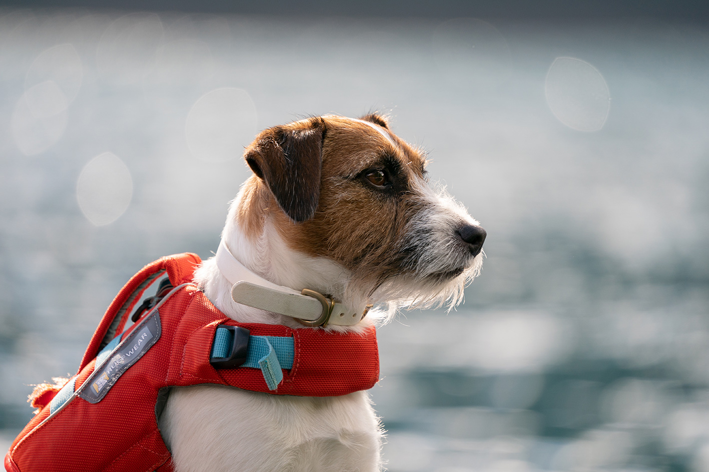 6. Expressive Portraits with a Telephoto Lens