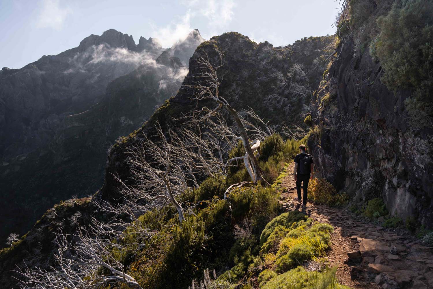 A hiker walks along a narrow, rocky mountain path, surrounded by lush greenery and misty peaks under a clear sky.