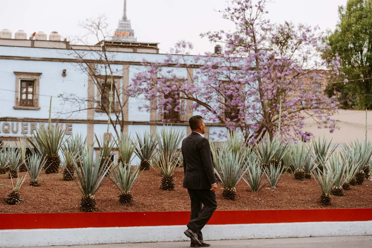 On the Road in Mexico City: A Travelogue Full of Culture, Color, and Photography