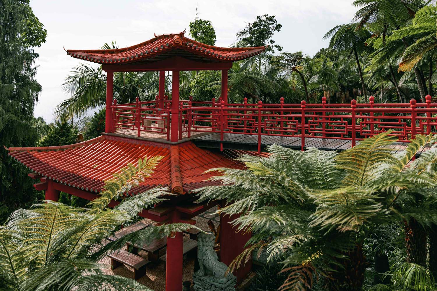 A Green Paradise – Monte Palace Tropical Garden