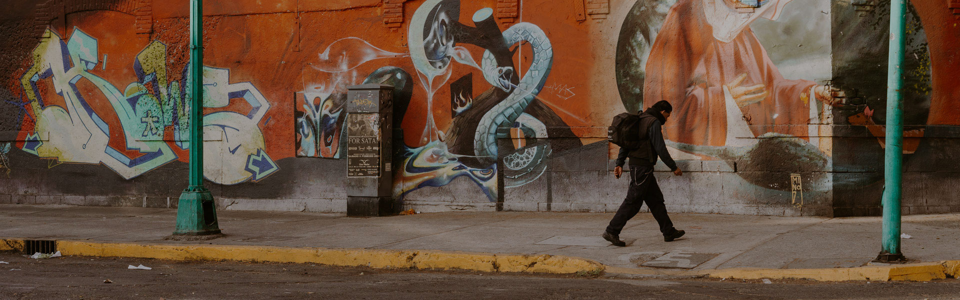 Person walking past a vibrant mural with abstract designs and a snake on an urban street.