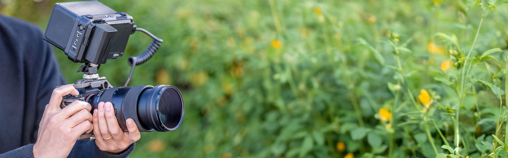 Person holding a camera with a large lens and external monitor, aiming at green foliage with small yellow flowers in the background.