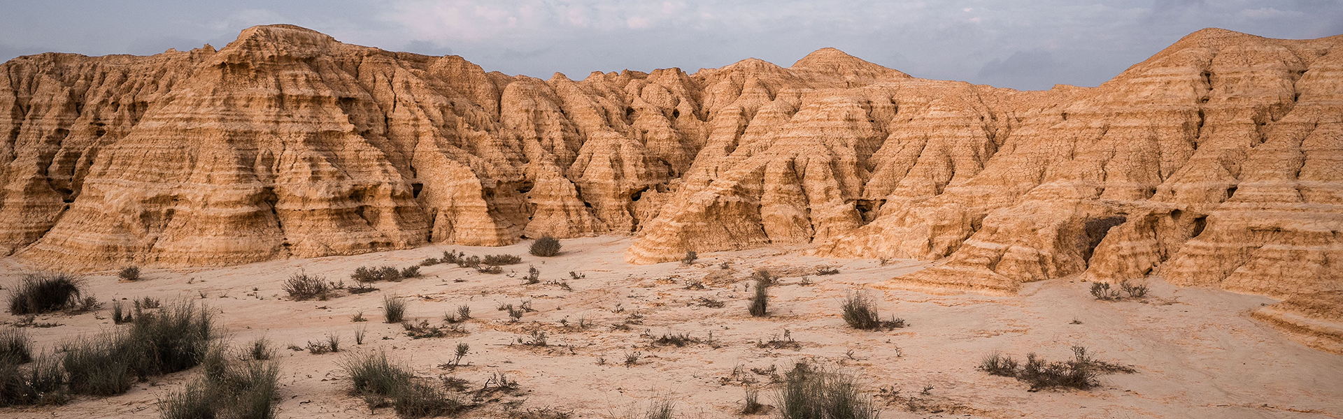 Un paesaggio desertico arido con formazioni di arenaria stratificate ed erose e vegetazione sparsa sotto un cielo nuvoloso.