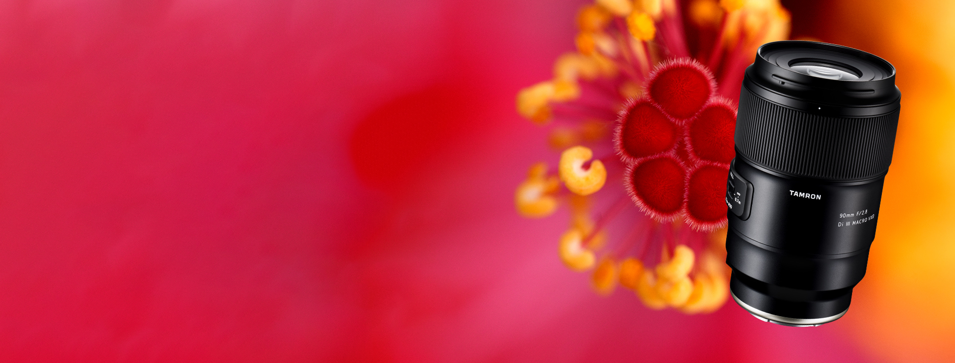 UN 90 MM MACRO À GAGNER