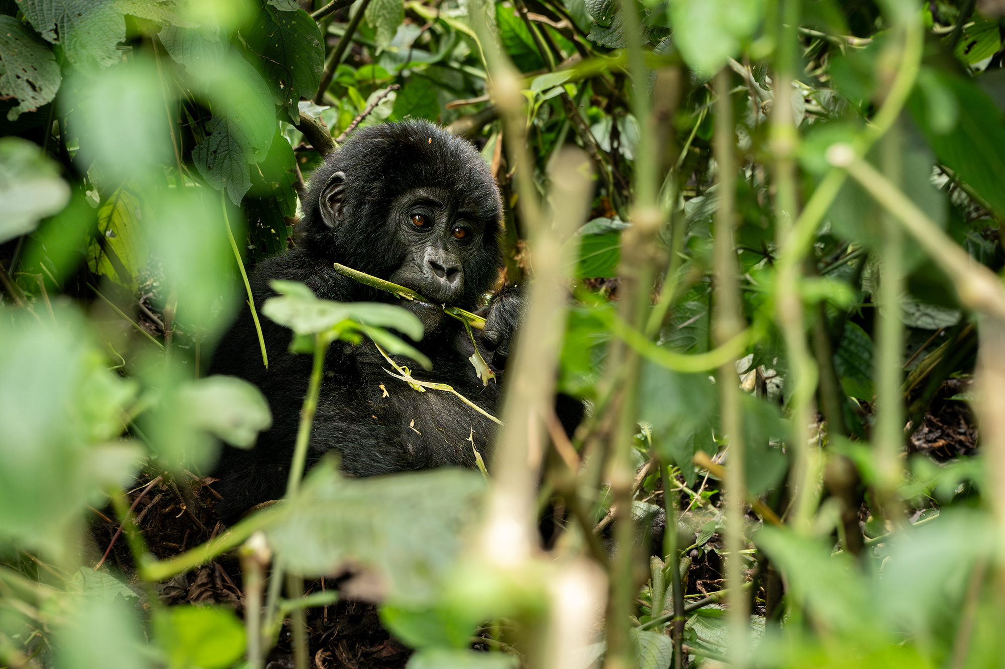 Une lumière exigeante, mais riche
