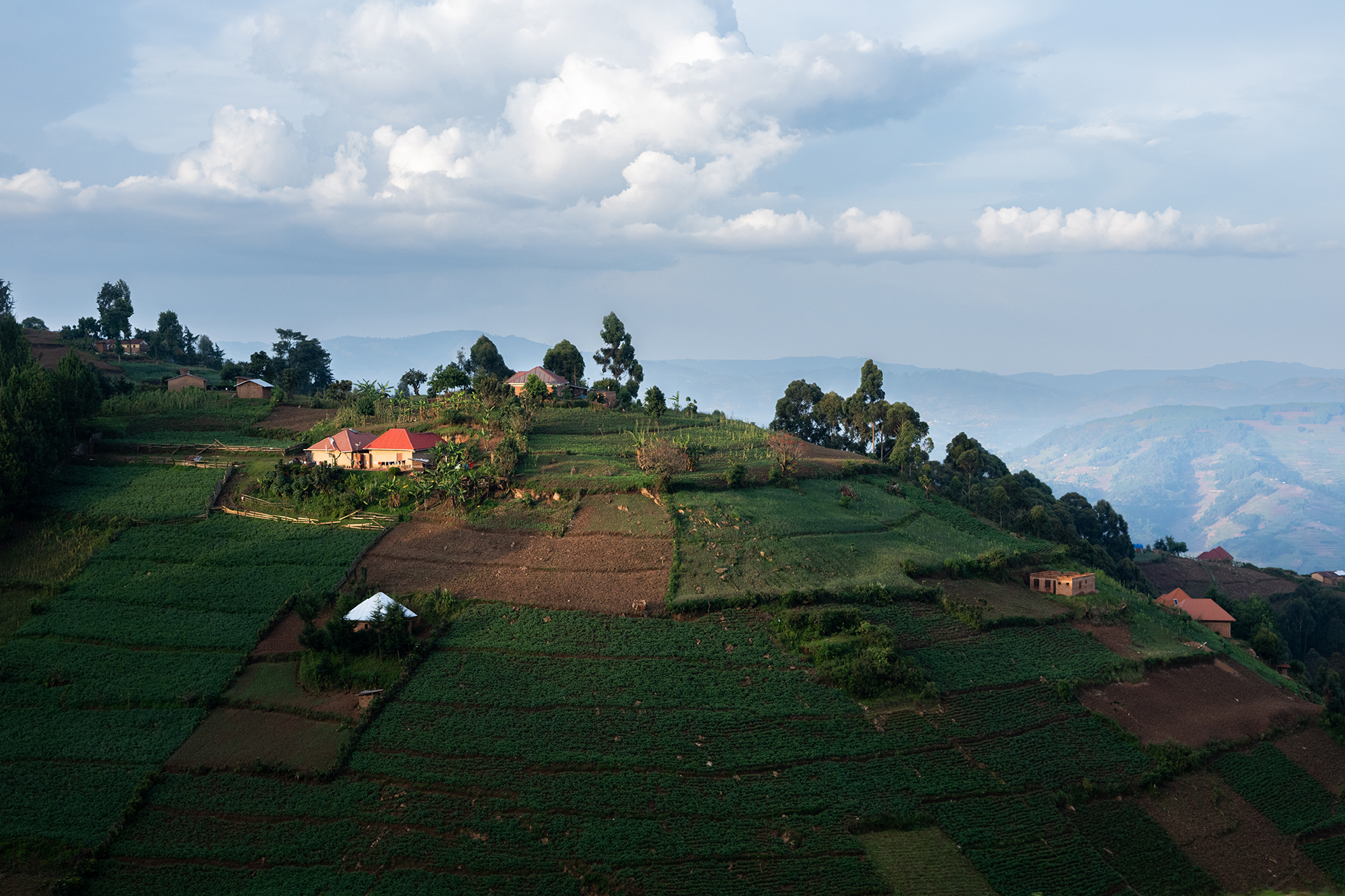 Du détail au paysage : raconter un territoire