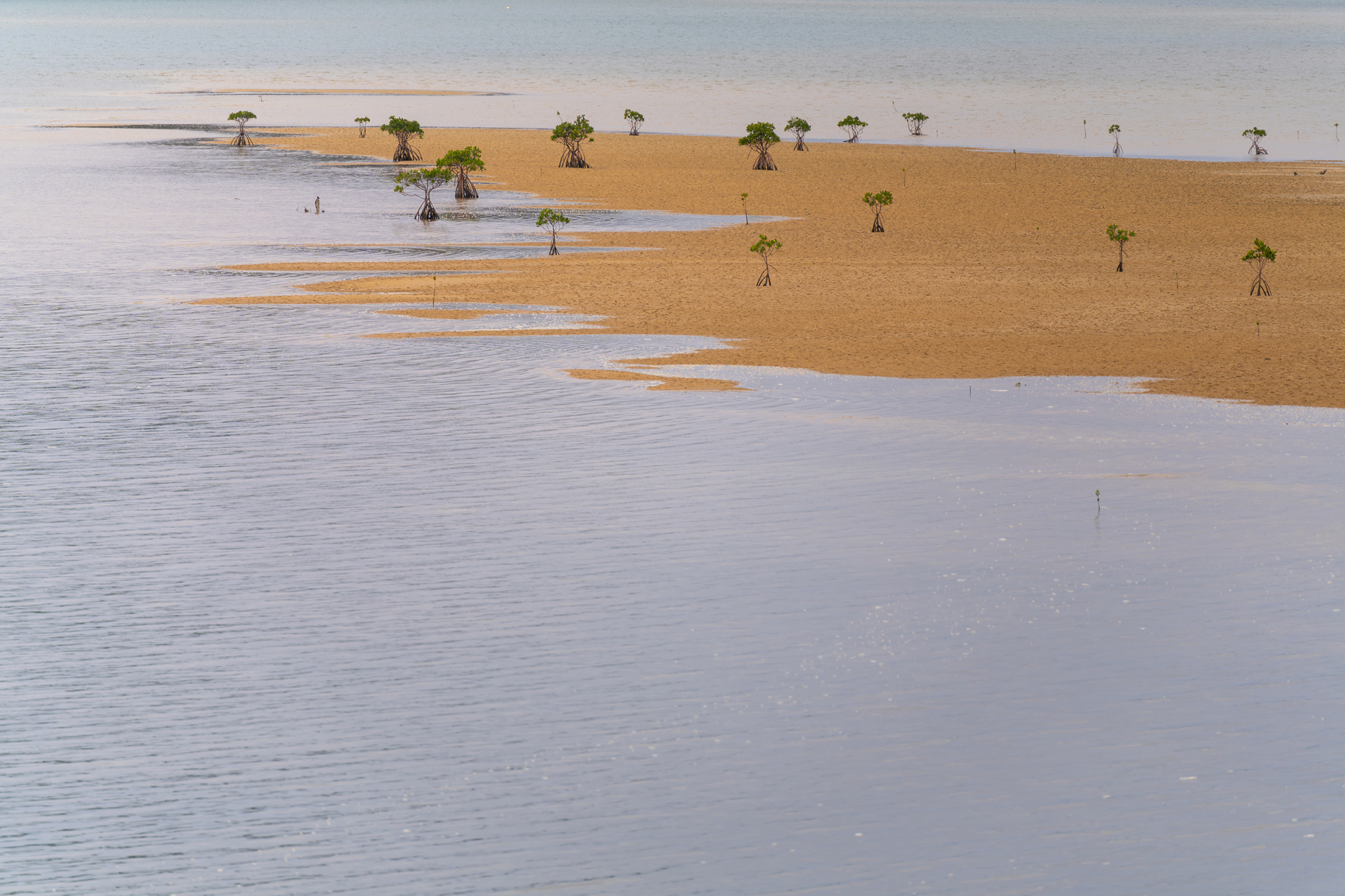 L'ile sauvage d'Iriomote au Japon