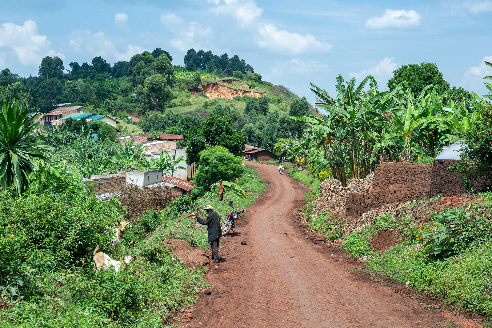 Un seul objectif pour saisir l’inattendu