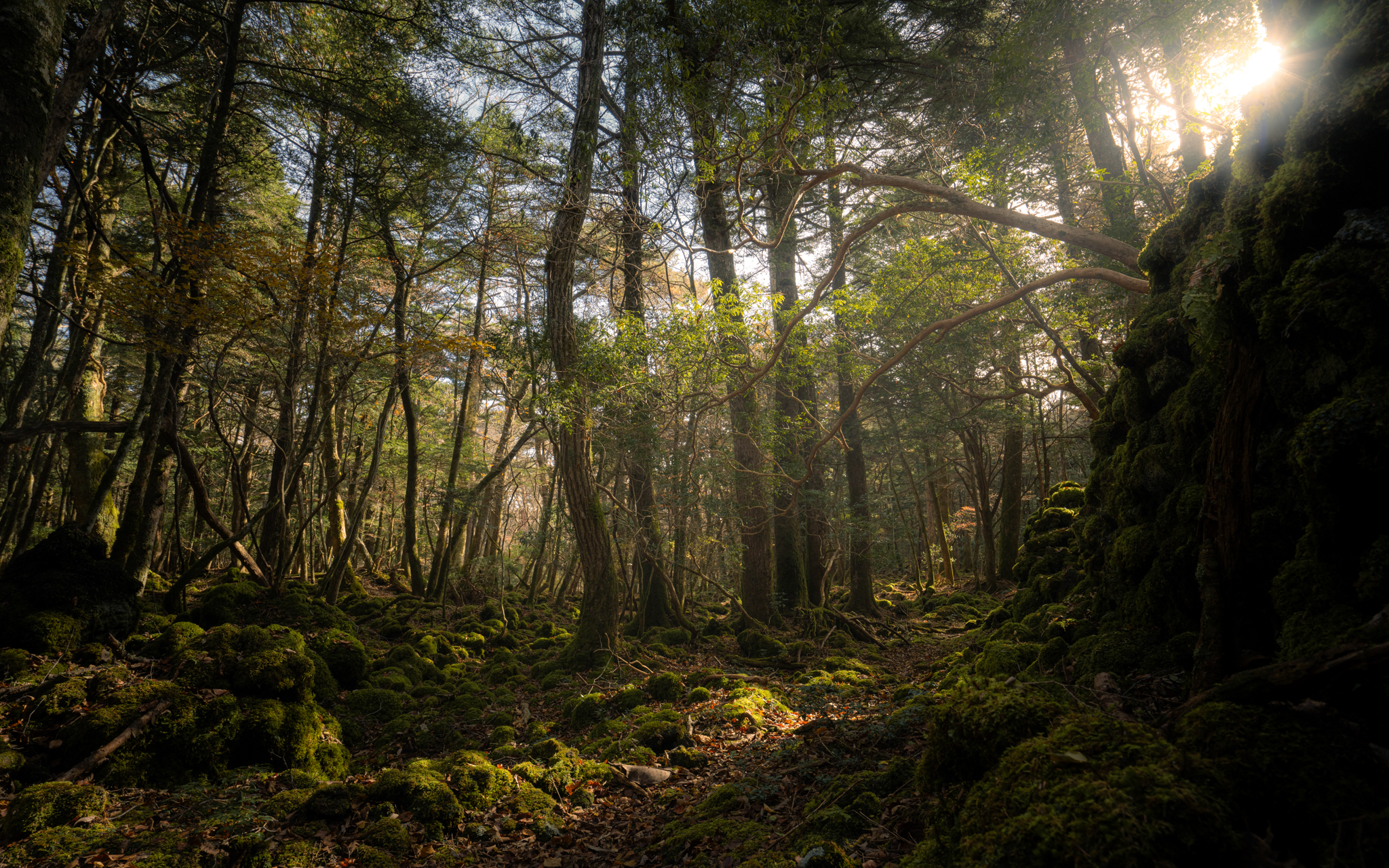 Quand ne peut pas utiliser un filtre ? 