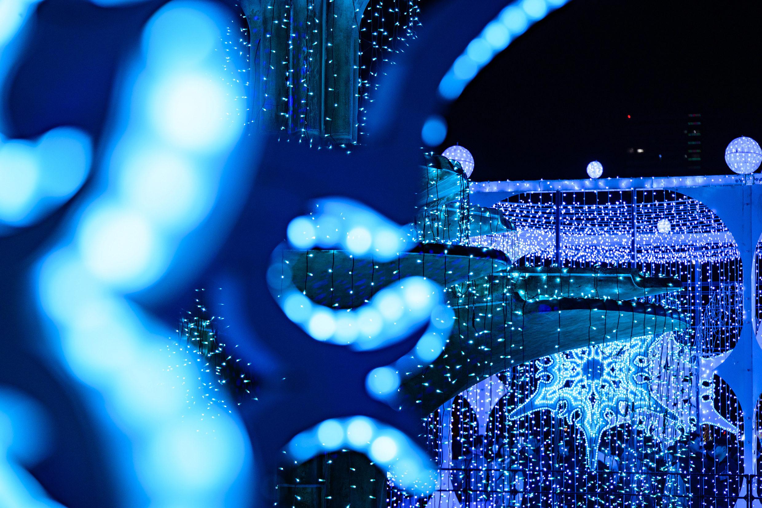 5. Photographiez à travers des éléments lumineux pour créer de la profondeur