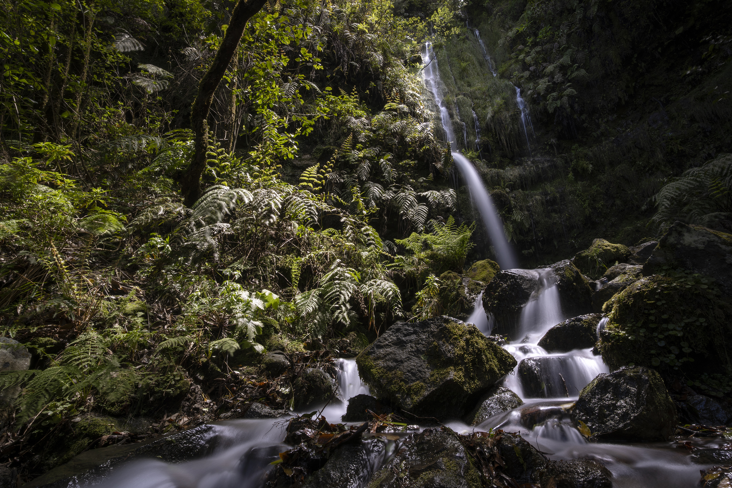 7. Levada do Caldeirão Verde