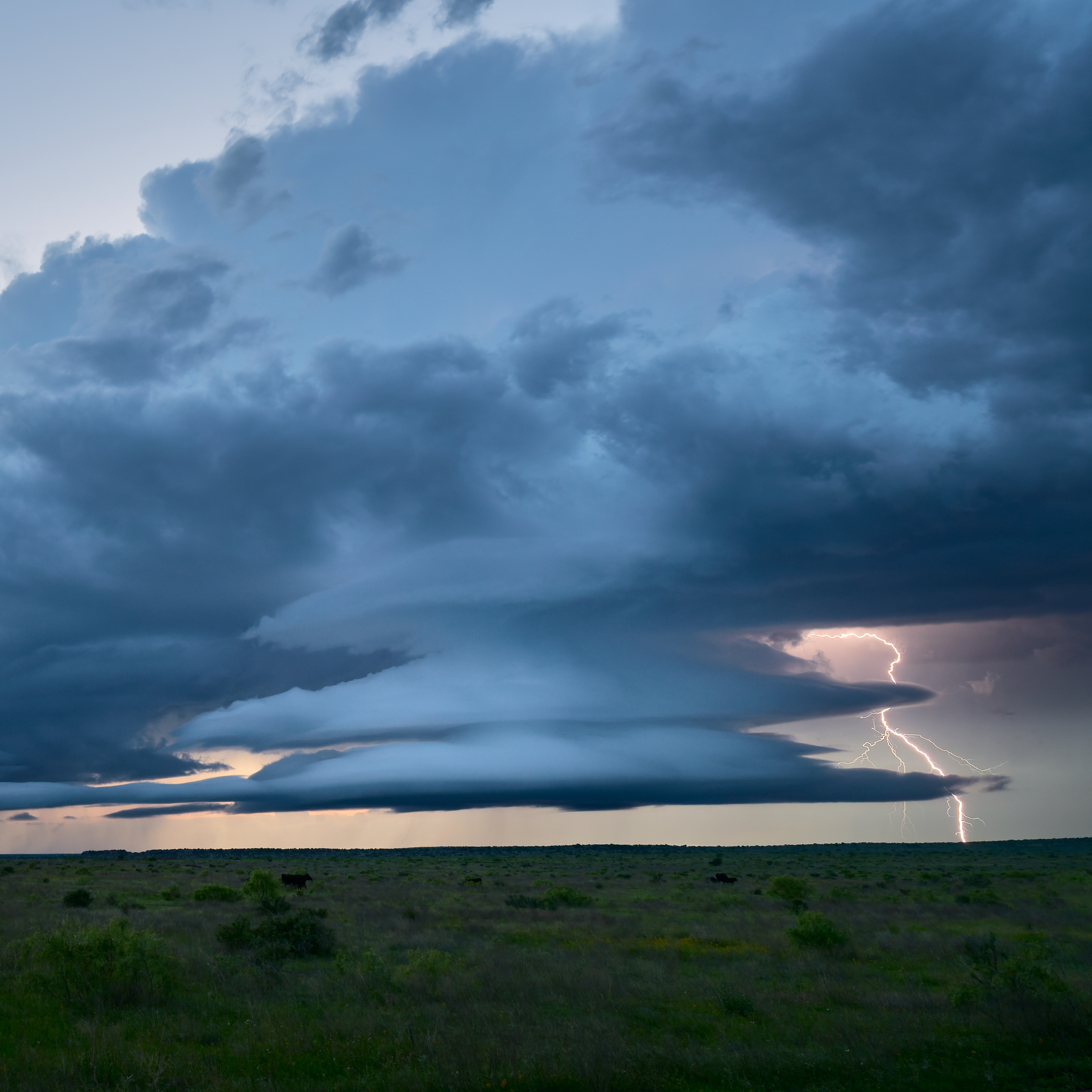 A dramatic sky with layered storm clouds and a bolt of lightning striking the horizon over a grassy landscape.