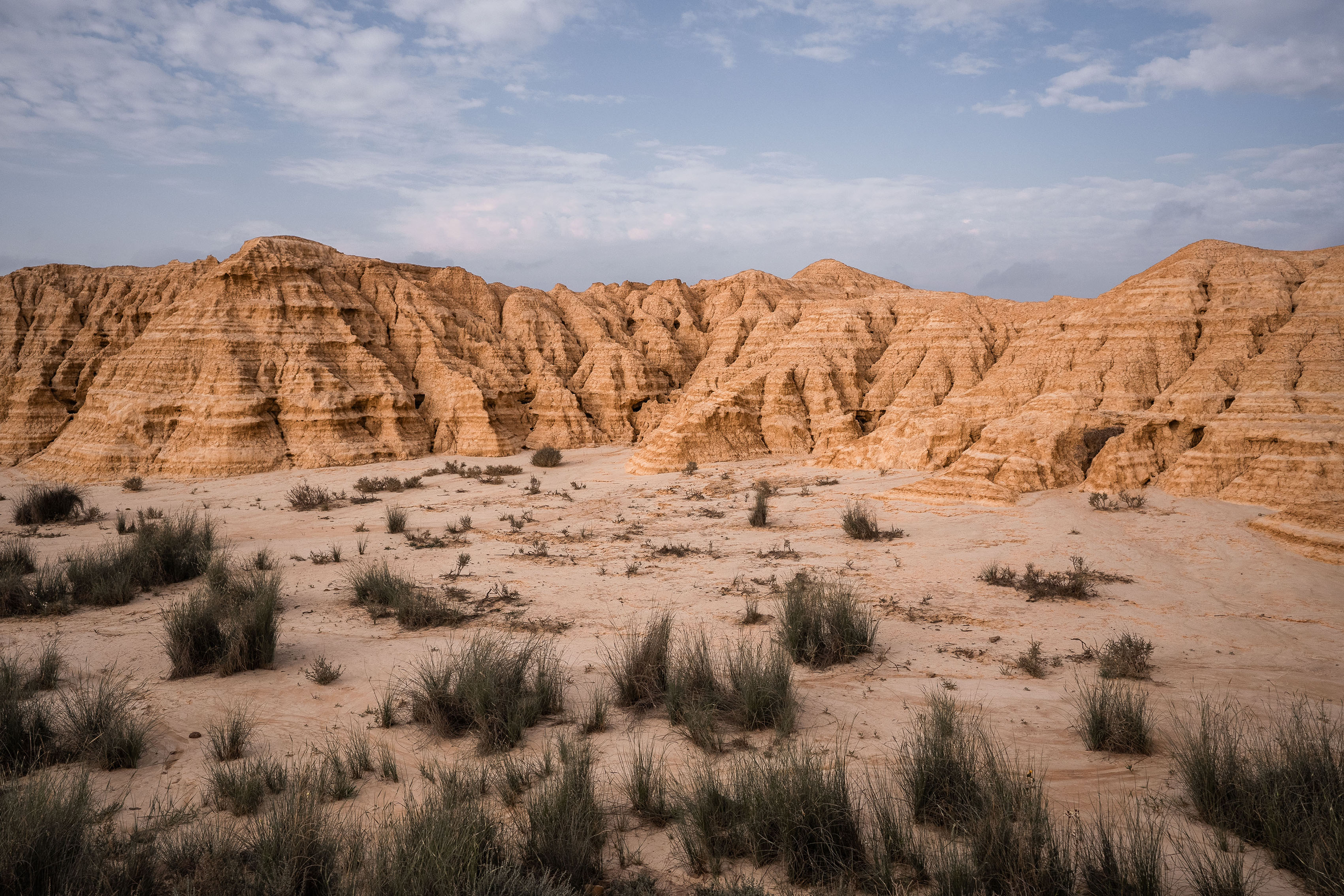 Un paesaggio desertico arido con formazioni di arenaria stratificate ed erose e vegetazione sparsa sotto un cielo nuvoloso.