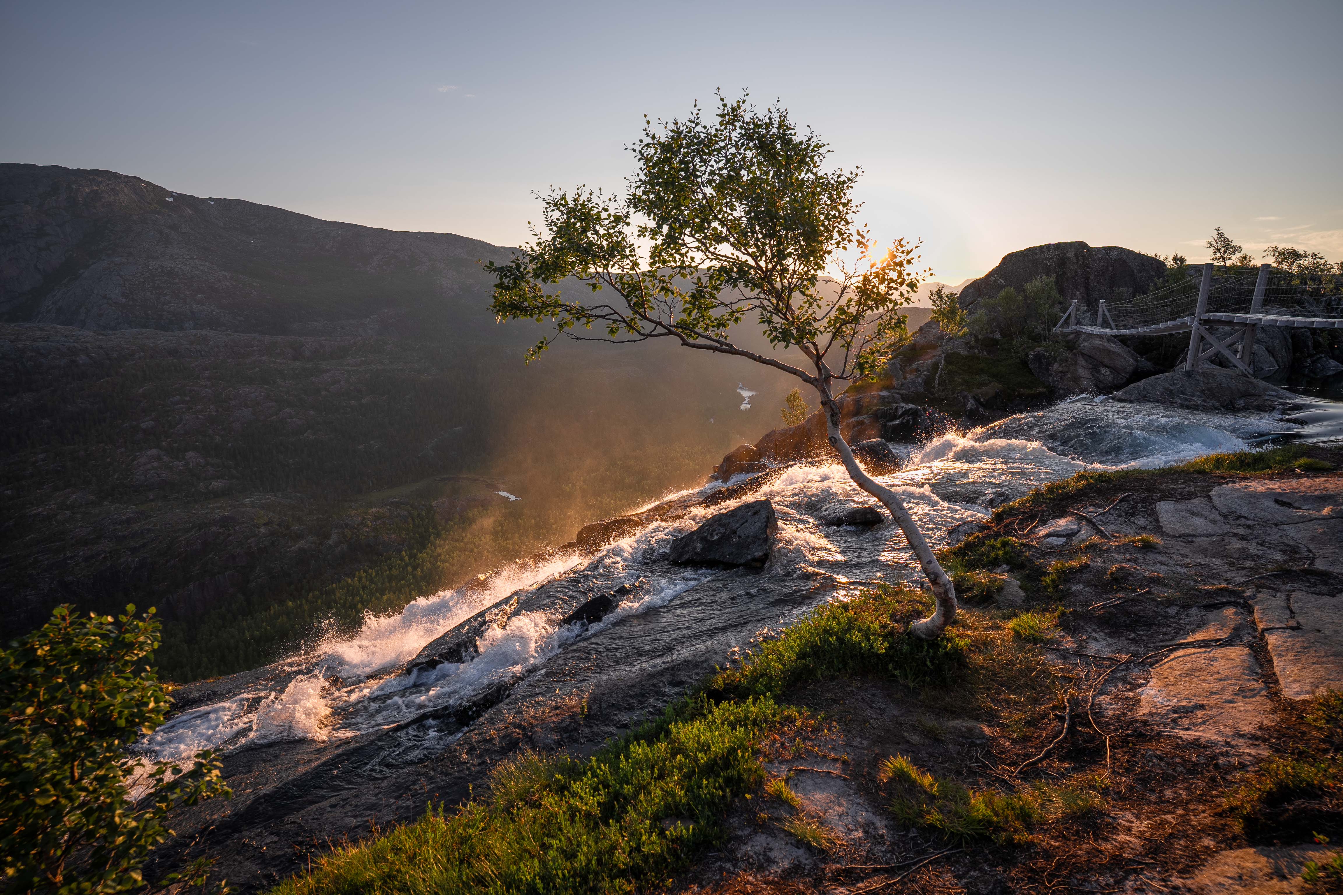 A solitary tree stands next to a waterfall on a rocky cliff, with a wooden bridge and mountains in the background at sunset.